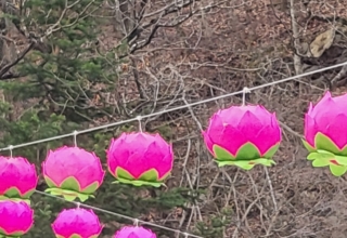 화창한 봄날 부석사